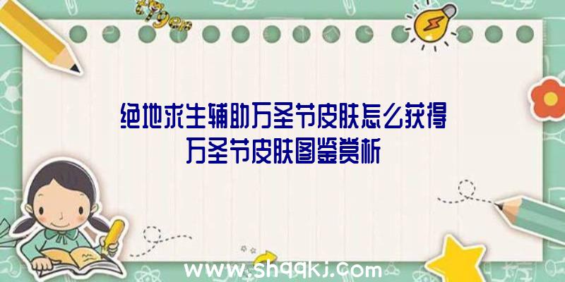 绝地求生辅助万圣节皮肤怎么获得万圣节皮肤图鉴赏析