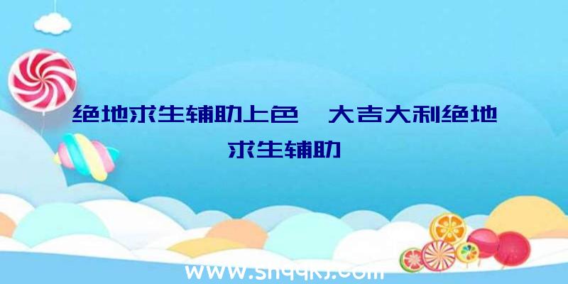 绝地求生辅助上色、大吉大利绝地求生辅助