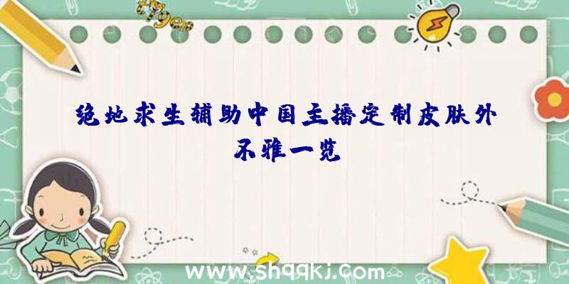 绝地求生辅助中国主播定制皮肤外不雅一览