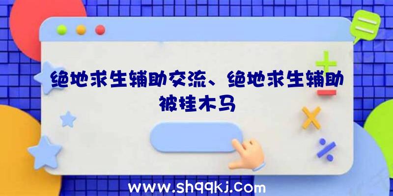 绝地求生辅助交流、绝地求生辅助被挂木马