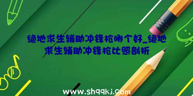 绝地求生辅助冲锋枪哪个好_绝地求生辅助冲锋枪比照剖析