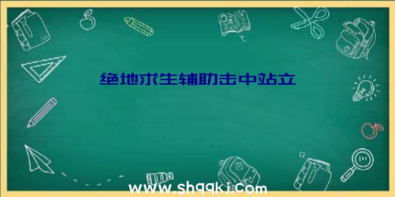 绝地求生辅助击中站立