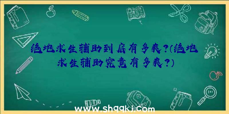 绝地求生辅助到底有多爽？（绝地求生辅助究竟有多爽？）