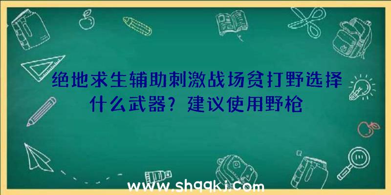 绝地求生辅助刺激战场贫打野选择什么武器？建议使用野枪