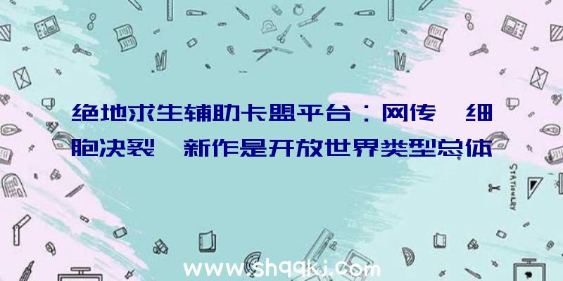 绝地求生辅助卡盟平台：网传《细胞决裂》新作是开放世界类型总体弄法相似增强潜行要素的“刺客信条”