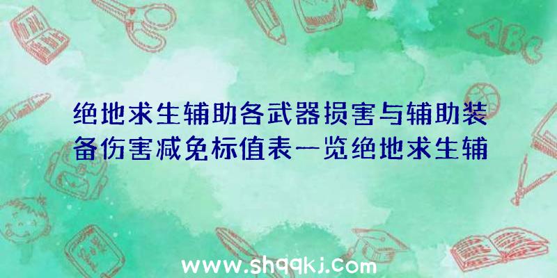 绝地求生辅助各武器损害与辅助装备伤害减免标值表一览绝地求生辅助