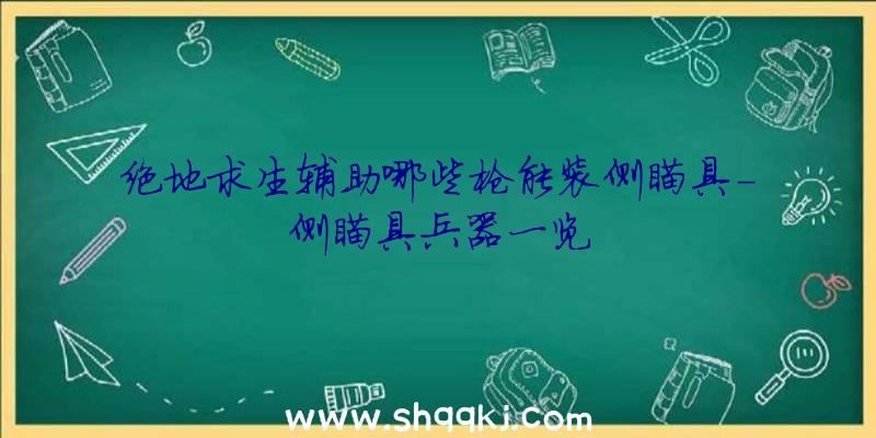 绝地求生辅助哪些枪能装侧瞄具-侧瞄具兵器一览