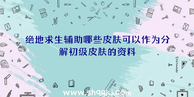 绝地求生辅助哪些皮肤可以作为分解初级皮肤的资料