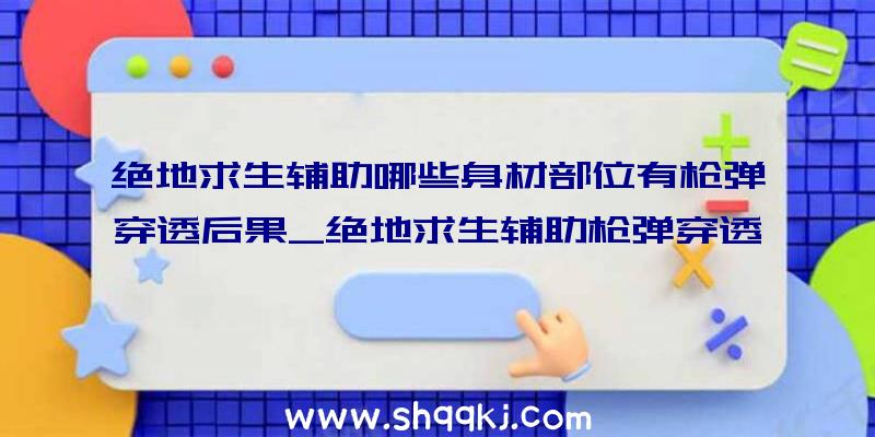 绝地求生辅助哪些身材部位有枪弹穿透后果_绝地求生辅助枪弹穿透机制解析