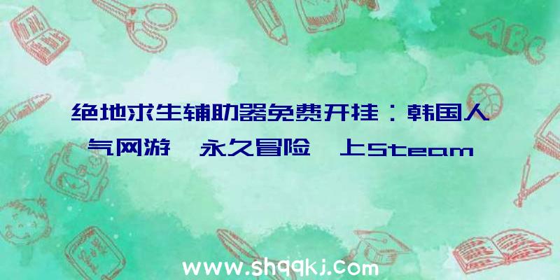 绝地求生辅助器免费开挂：韩国人气网游《永久冒险》上Steam时隔六年回归的经典