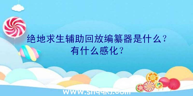 绝地求生辅助回放编纂器是什么？有什么感化？