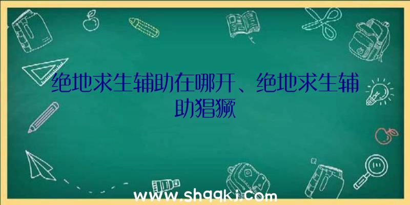 绝地求生辅助在哪开、绝地求生辅助猖獗