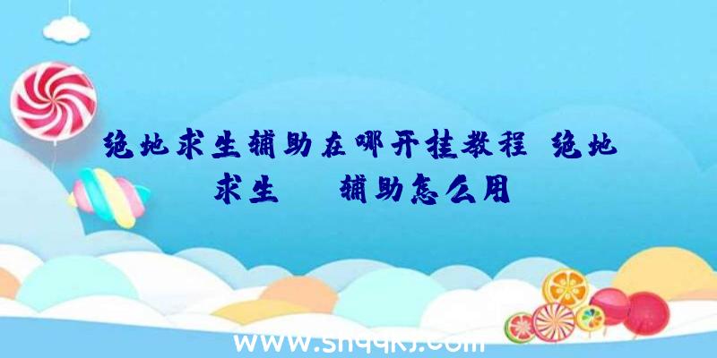 绝地求生辅助在哪开挂教程、绝地求生sss辅助怎么用