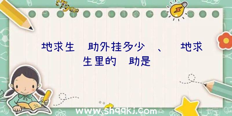 绝地求生辅助外挂多少钱、绝地求生里的辅助是谁