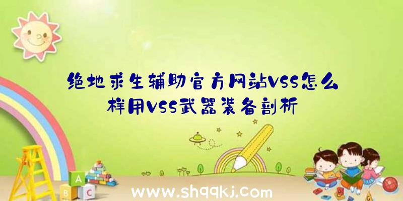 绝地求生辅助官方网站VSS怎么样用VSS武器装备剖析