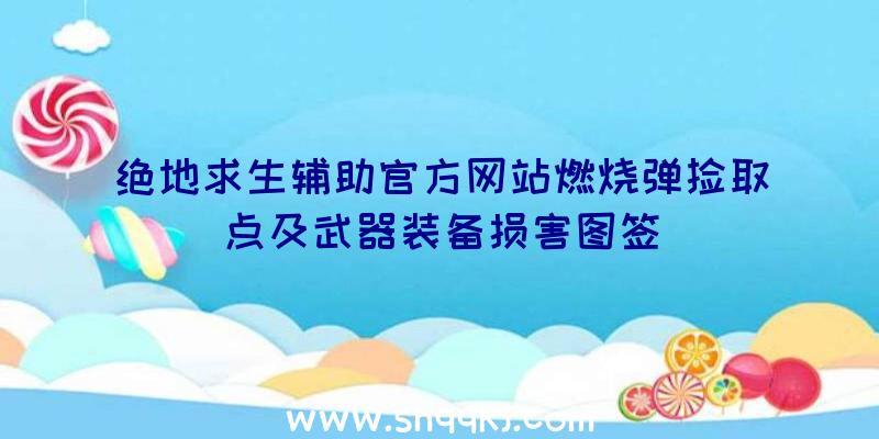 绝地求生辅助官方网站燃烧弹捡取点及武器装备损害图签