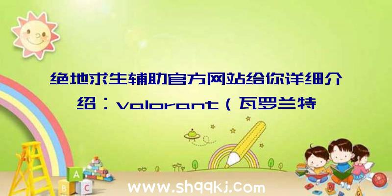 绝地求生辅助官方网站给你详细介绍：valorant（瓦罗兰特）配备规定