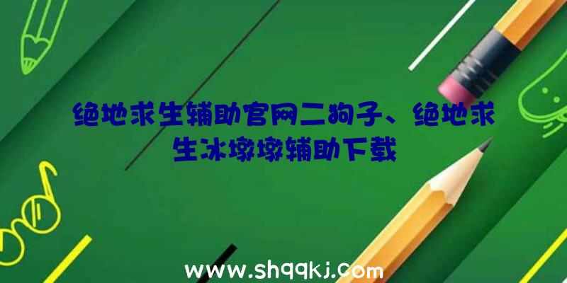 绝地求生辅助官网二狗子、绝地求生冰墩墩辅助下载