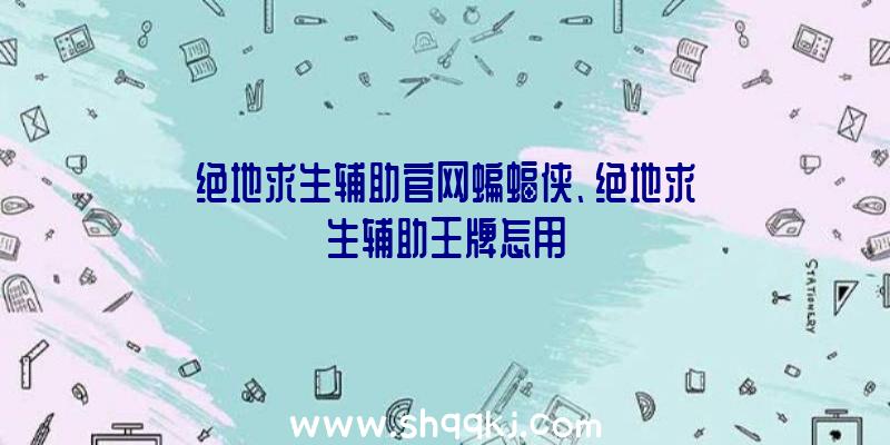 绝地求生辅助官网蝙蝠侠、绝地求生辅助王牌怎用