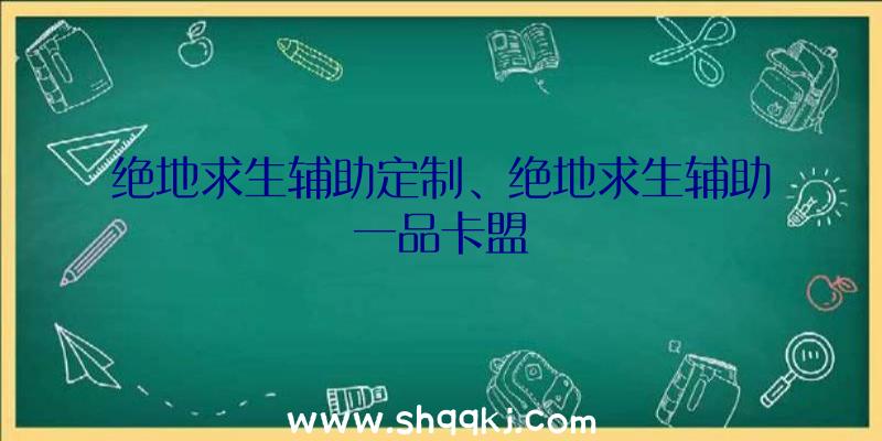 绝地求生辅助定制、绝地求生辅助一品卡盟