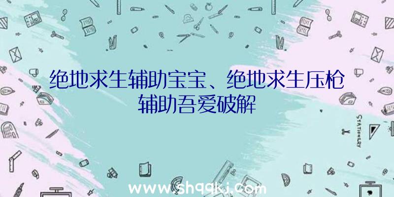 绝地求生辅助宝宝、绝地求生压枪辅助吾爱破解