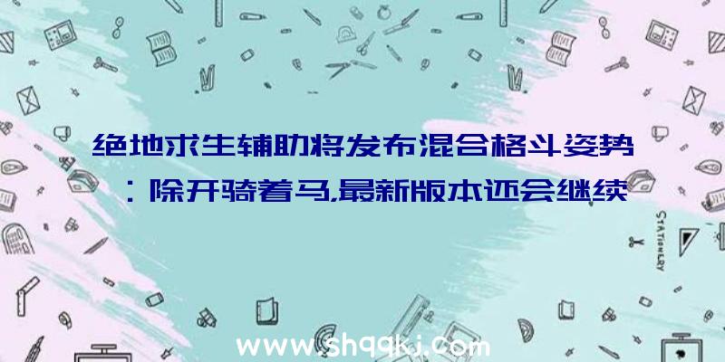 绝地求生辅助将发布混合格斗姿势：除开骑着马，最新版本还会继续发生NPC鸡？