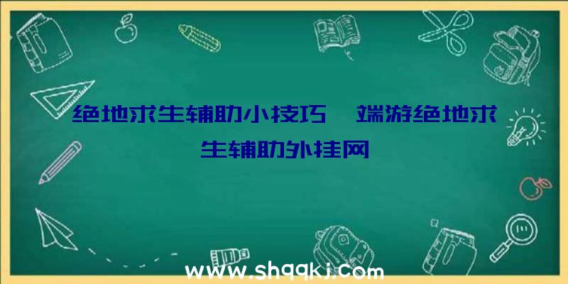 绝地求生辅助小技巧、端游绝地求生辅助外挂网