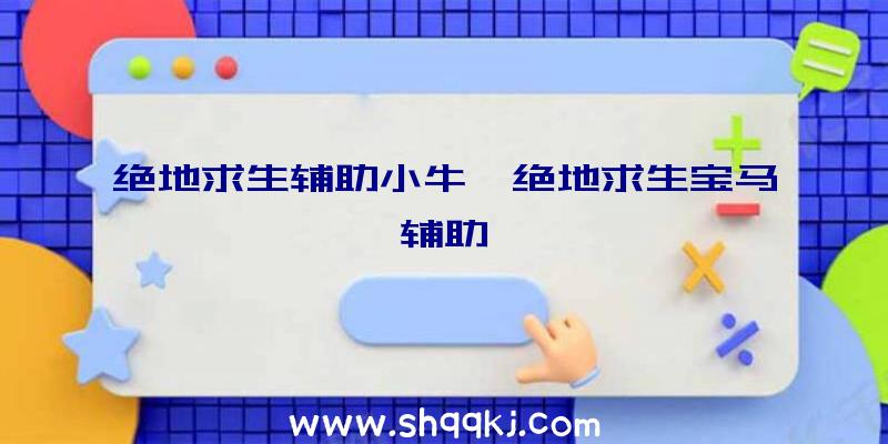 绝地求生辅助小牛、绝地求生宝马辅助