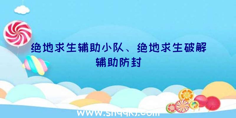 绝地求生辅助小队、绝地求生破解辅助防封