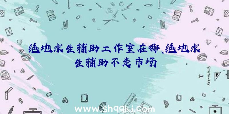 绝地求生辅助工作室在哪、绝地求生辅助不走市场