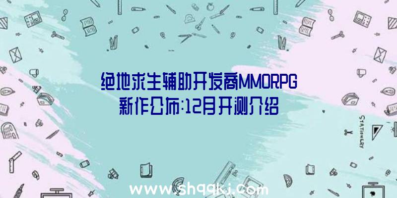 绝地求生辅助开发商MMORPG新作公布:12月开测介绍