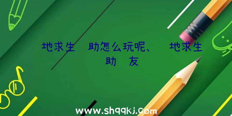 绝地求生辅助怎么玩呢、绝地求生辅助队友