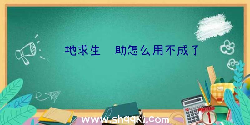 绝地求生辅助怎么用不成了