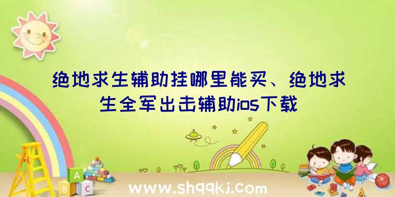 绝地求生辅助挂哪里能买、绝地求生全军出击辅助ios下载