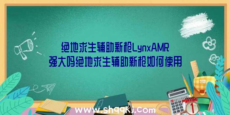 绝地求生辅助新枪LynxAMR强大吗绝地求生辅助新枪如何使用