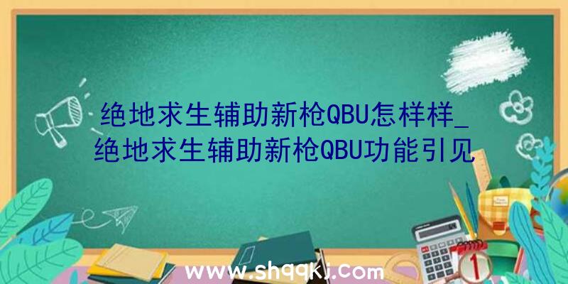 绝地求生辅助新枪QBU怎样样_绝地求生辅助新枪QBU功能引见