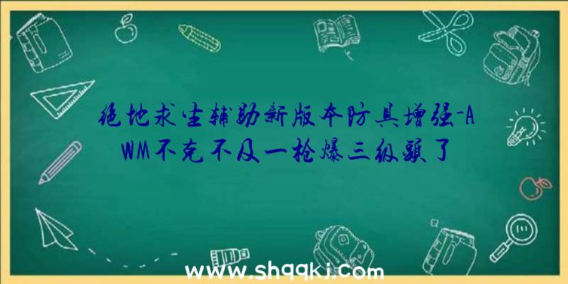 绝地求生辅助新版本防具增强-AWM不克不及一枪爆三级头了