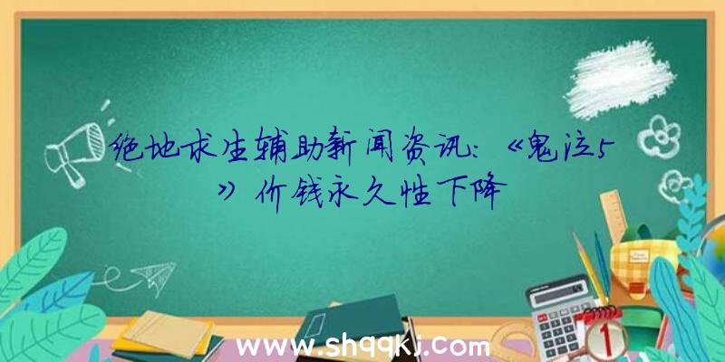 绝地求生辅助新闻资讯：《鬼泣5》价钱永久性下降