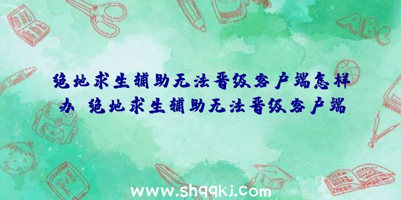 绝地求生辅助无法晋级客户端怎样办_绝地求生辅助无法晋级客户端处理方法