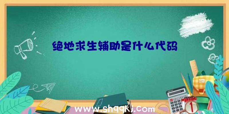 绝地求生辅助是什么代码