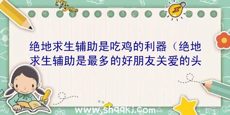 绝地求生辅助是吃鸡的利器（绝地求生辅助是最多的好朋友关爱的头等大事难点）