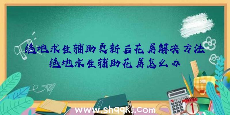 绝地求生辅助更新后花屏解决方法绝地求生辅助花屏怎么办