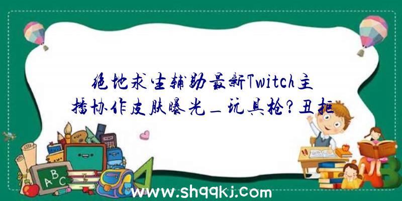 绝地求生辅助最新Twitch主播协作皮肤曝光_玩具枪？丑拒