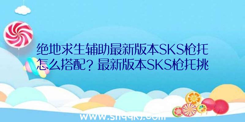 绝地求生辅助最新版本SKS枪托怎么搭配？最新版本SKS枪托挑选配搭