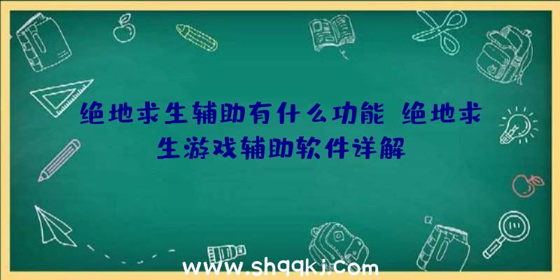 绝地求生辅助有什么功能（绝地求生游戏辅助软件详解）