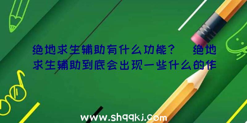 绝地求生辅助有什么功能？（绝地求生辅助到底会出现一些什么的作用？经历详解）