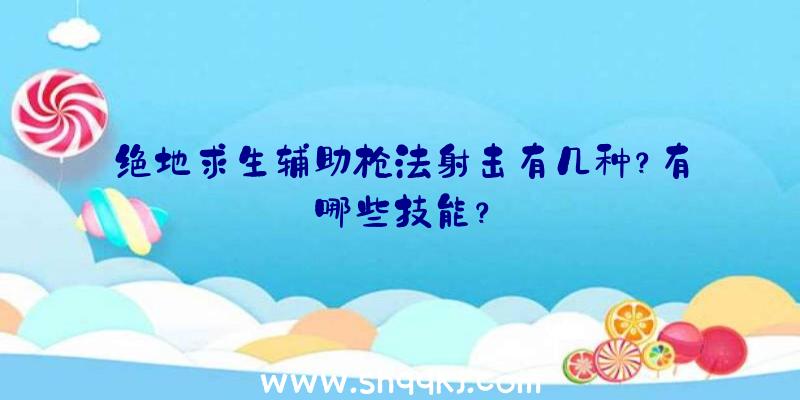 绝地求生辅助枪法射击有几种？有哪些技能？