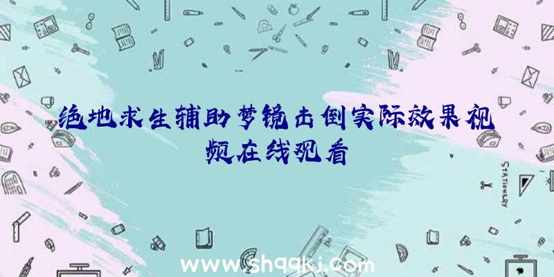 绝地求生辅助梦镜击倒实际效果视频在线观看