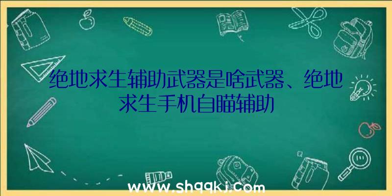 绝地求生辅助武器是啥武器、绝地求生手机自瞄辅助