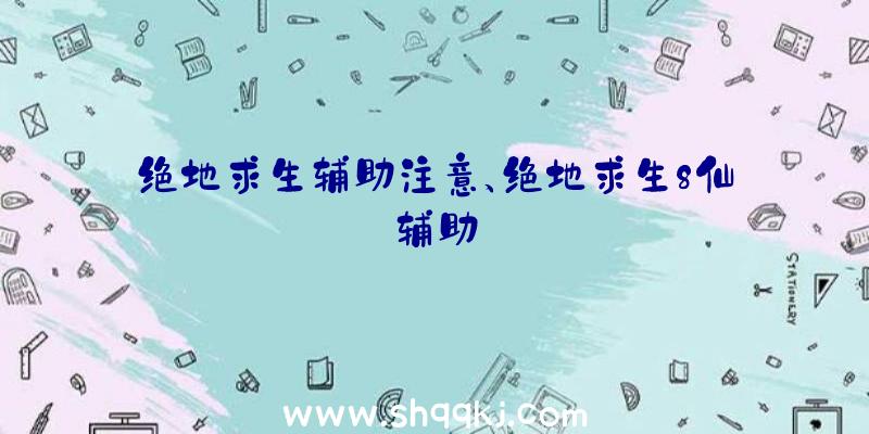 绝地求生辅助注意、绝地求生8仙辅助